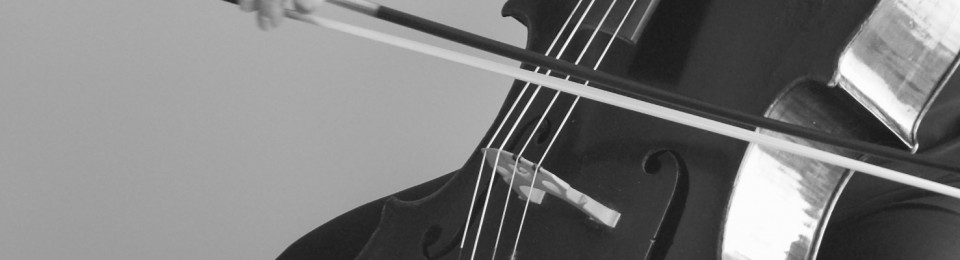 Laura Taylor, Wedding Cellist